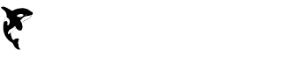 Asset 1.png