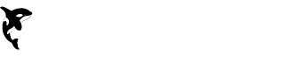 Asset 1.png