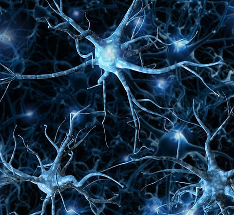 la-estimulacion-cerebral-recupera-la-per