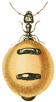 image_edited_edited_edited_edited.png