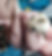 20191006_120724.jpg