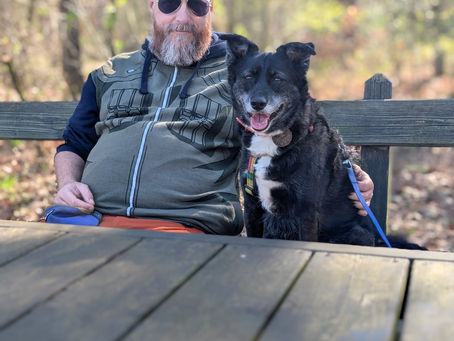 Warum dein Hund kein Problem ist - sondern ein Nervensystem mit Geschichte