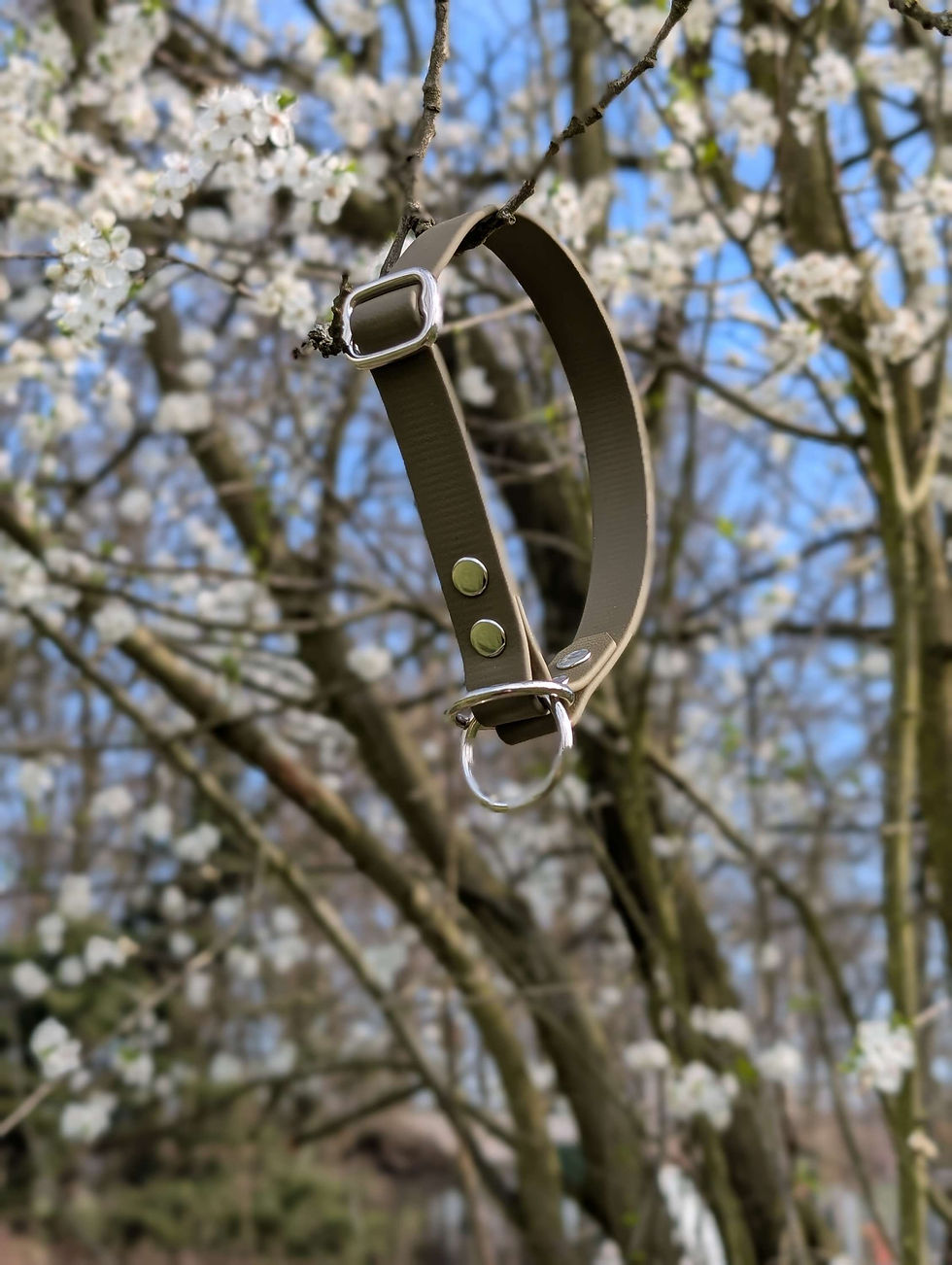 Zug-Stop-Halsband Biothane einfarbig