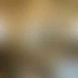 The Cannery, New Orleans - Experience the Fun and Excitement at our GC Photo Booth!