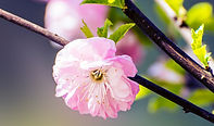 dreamstime_m_54303903.jpg