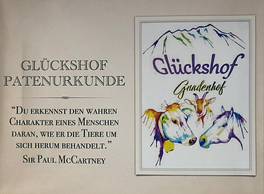 GH Patenurkunde 2020.jpg