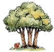 Forest trees illustration for Forest package tier