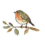 lilbird_edited.png