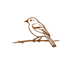 bird.png
