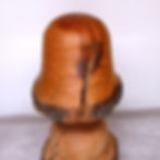 Miniature : Champignon en abricotier