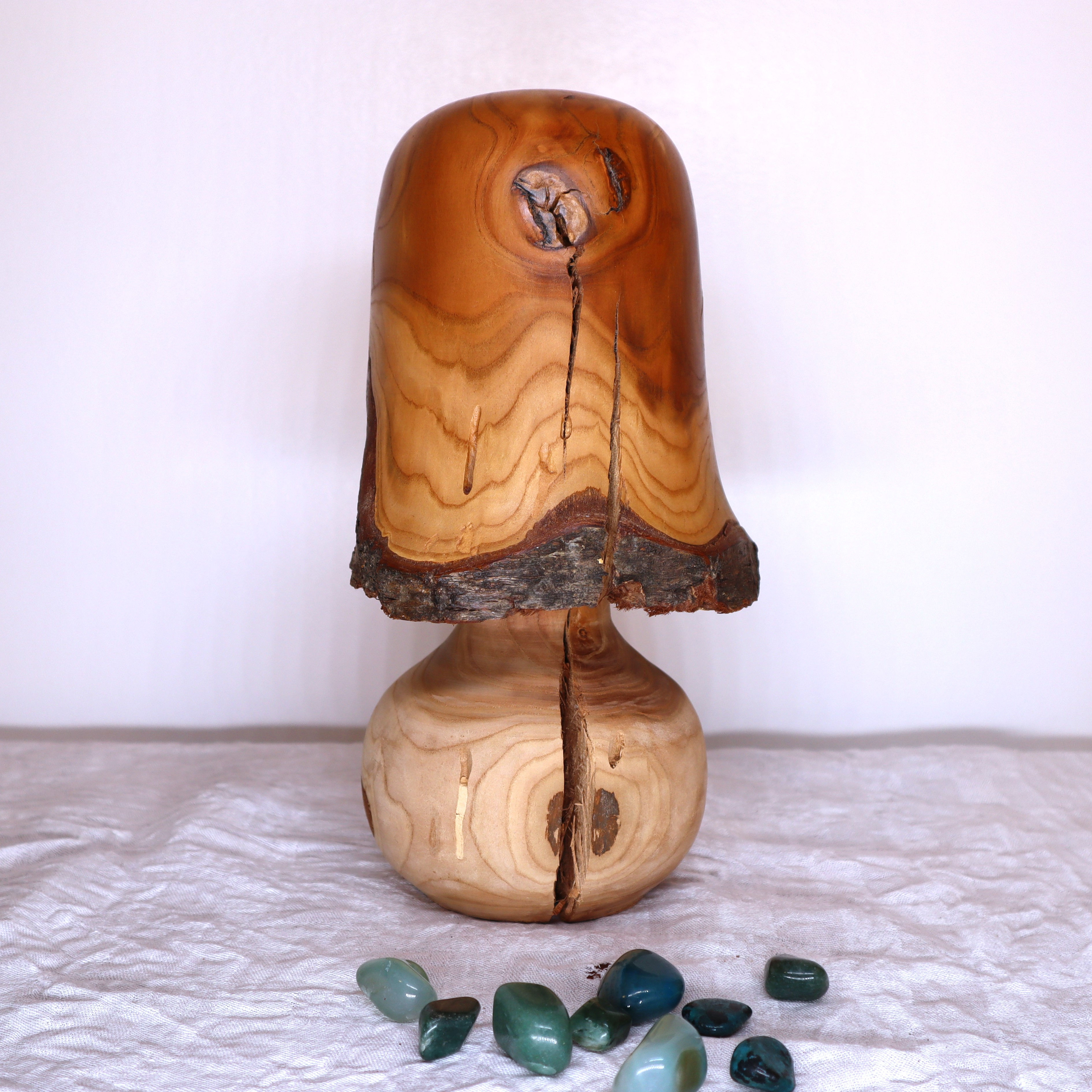 Champignon en Pêcher