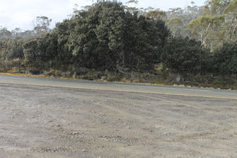 Liffey Falls 42 & Pine Lake 43 & SNOW?!