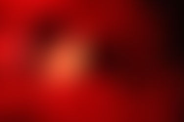 Seeing Penguins Feed