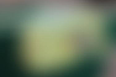 Prince in the Pond - 1,000 pieces