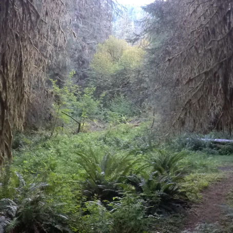 Welcome to "Clever Colleen" a new phase of artistic development... 