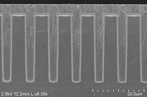 LSN_Poly_Fill_i010_edited.jpg