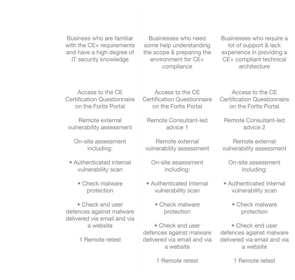 Cyber Essentials Plus Table-01.png