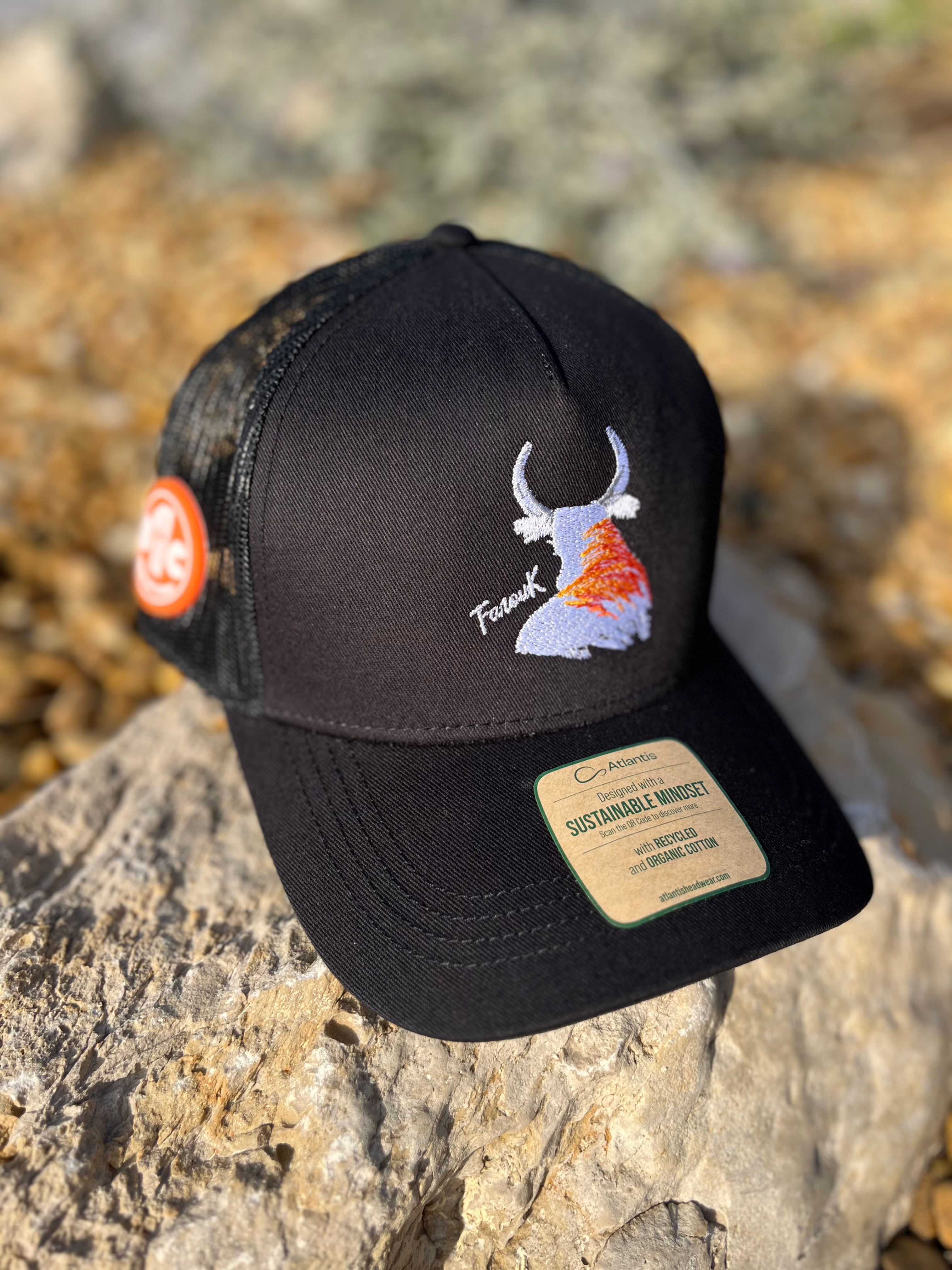 Taureau orange -Farouk x B1C