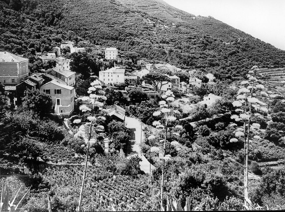 Lavonese