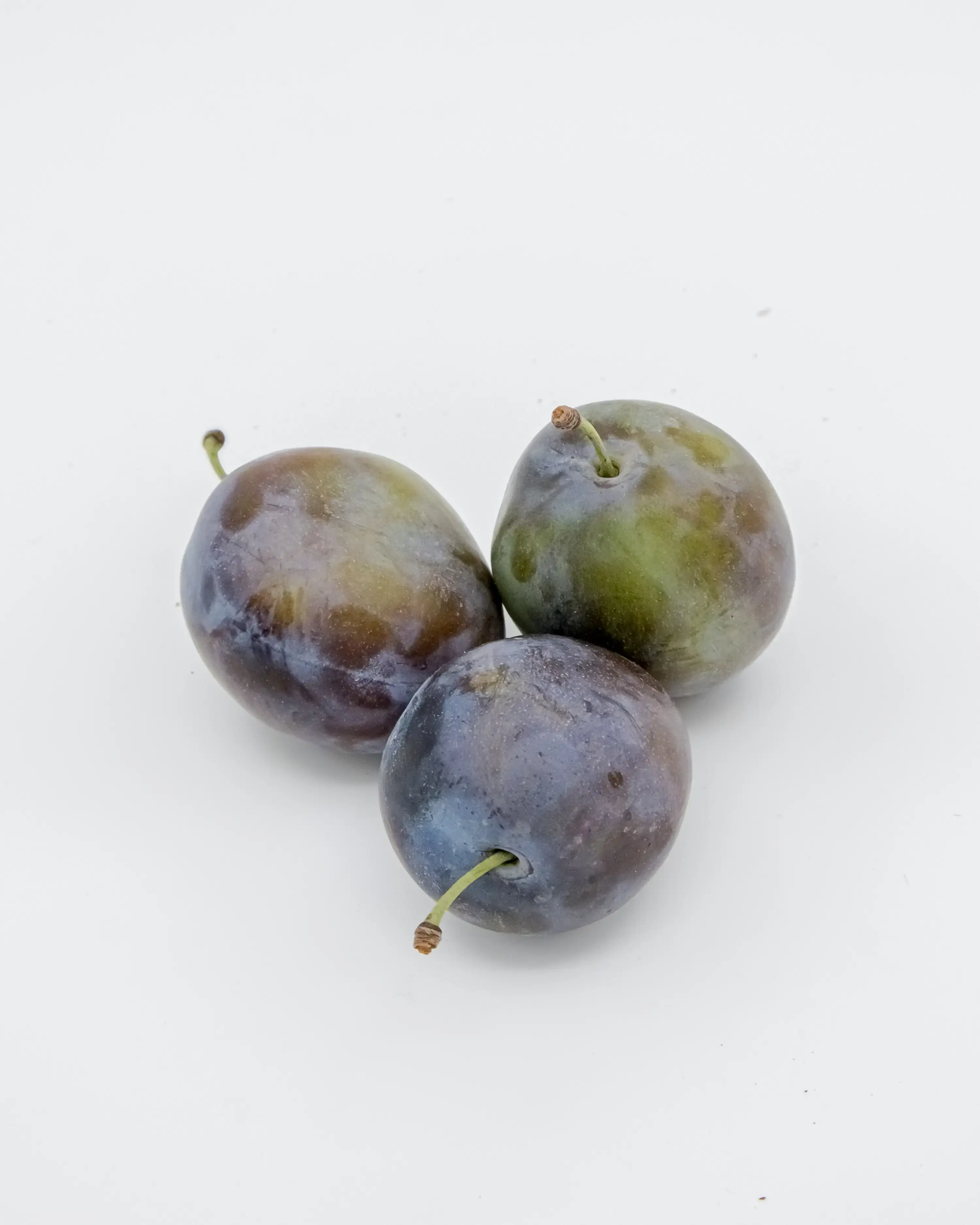 Gavalı "Yarpağaltı"