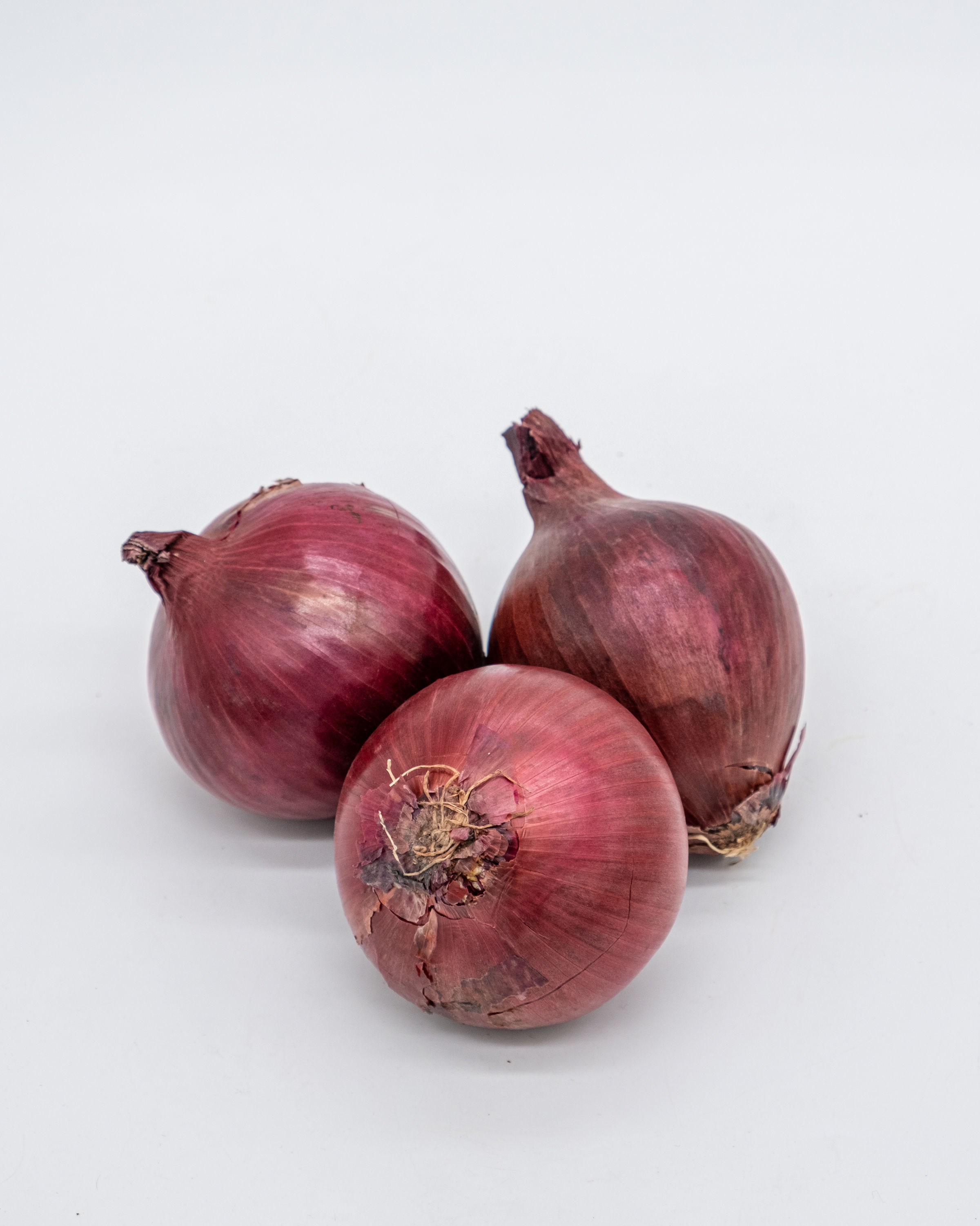 Onion "red"