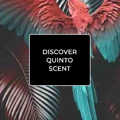 Floral.Fruity.Gourmand