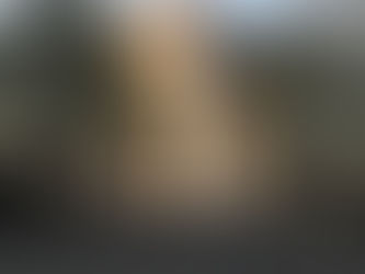 Ekskursijas PARĪZĒ (4h-5h)