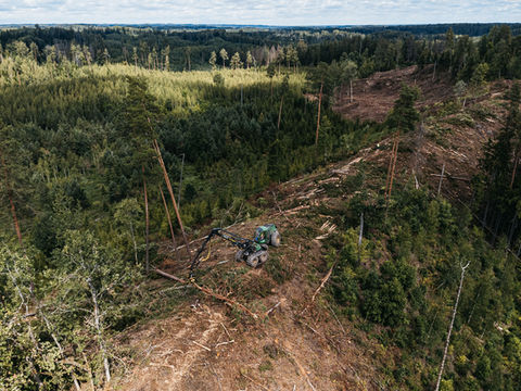 Mežistrādes tehnika, SIA Grantiņi 1 - bilde 4