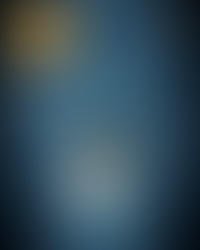 A diagram of the bony anatomy of the foot and the locations of common bone stress injuries and their corresponding risk level