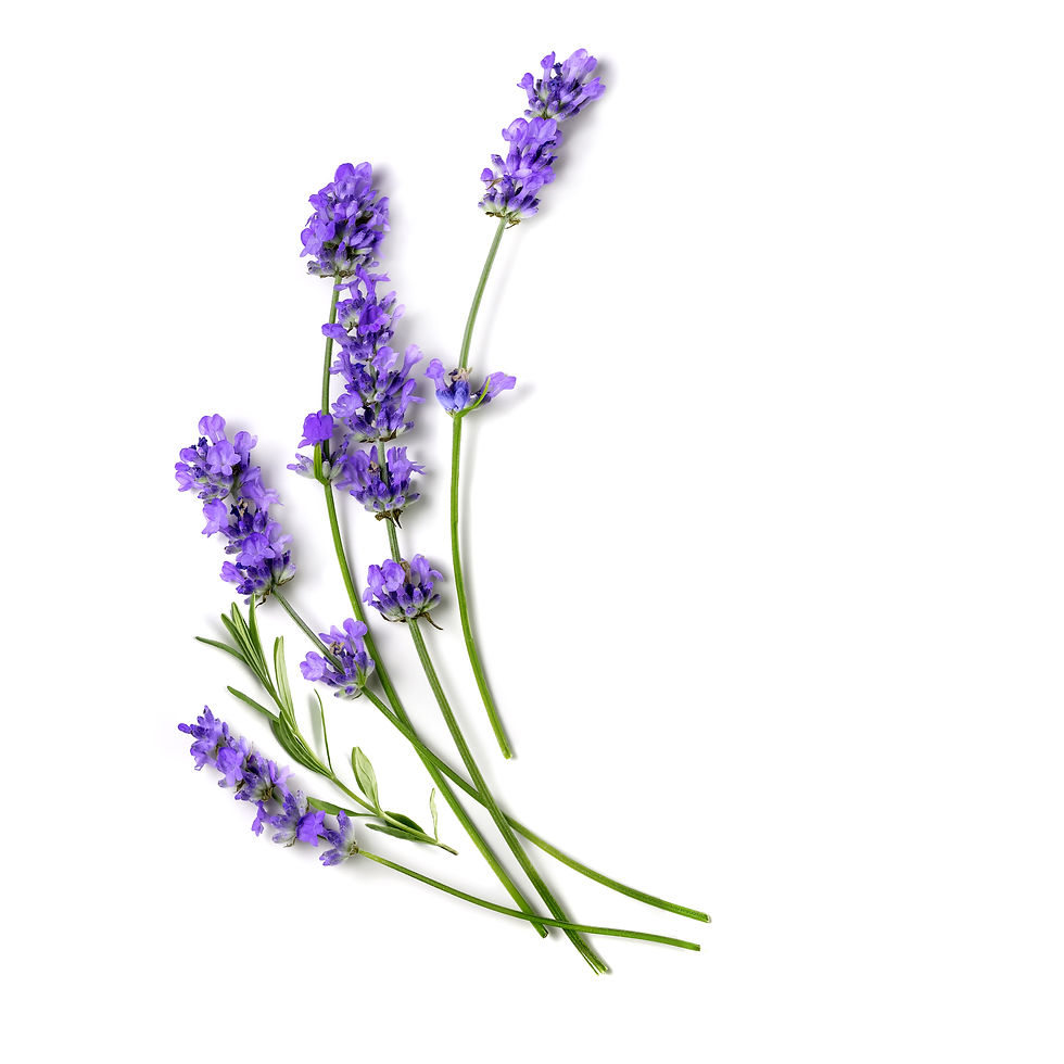 iStock-1409278584.jpg