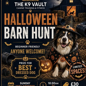 Barn Hunts!