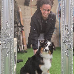 Are you Fulfiling your Dog?