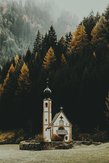 pexels-eberhardgross-12365980.jpg