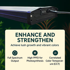 How to Choose the Right Wattage for Your Aquarium LED Light