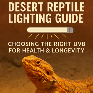Desert Reptile Lighting Guide: Choosing the Right UVB for Health and Longevity