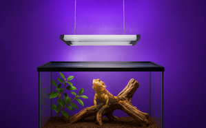 Compact, Powerful, and Reliable: The Rise of CTT’s Plug-Type LED Lights