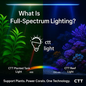 The Science Behind Full-Spectrum LED Aquarium Lights