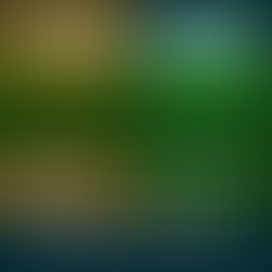 ctt light for plants vs traditional lighting