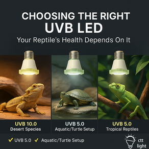 UVB LED Light options for Your Reptile