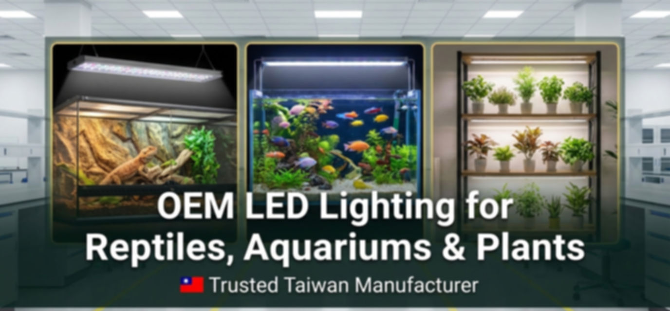 Generated Image December 17, 2025 - 10_26PM.jpeg