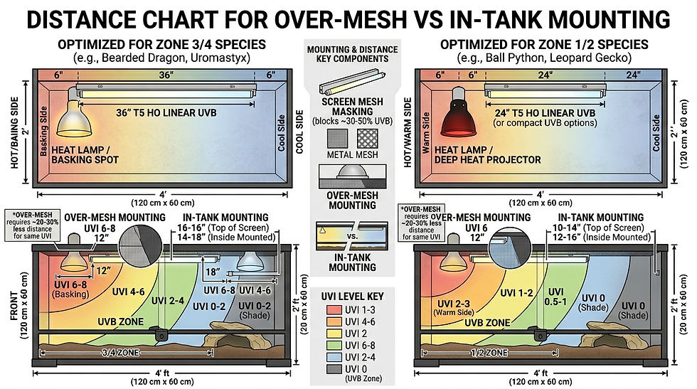 Chart comparing over-mesh vs. in-tank mounting for reptile enclosures. Includes UVB zones, lamp setups, and distance guidelines.
