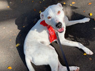 EOFY giving: What if you didn’t get a chance to donate, but still want to #giveback?