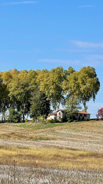 Le Presbytére from the field