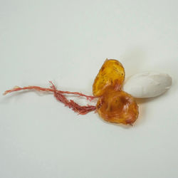 Jane Scobie-Holme Critters, Swimming (2023)