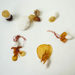 Jane Scobie-Holme Critters (2023)