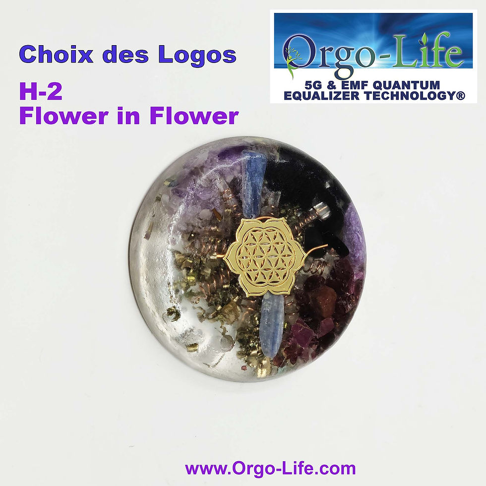 Miniature : UL-3440 Collier ''Super Warrior'' édition limitée