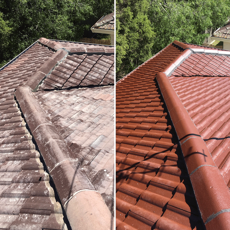 Roof painting