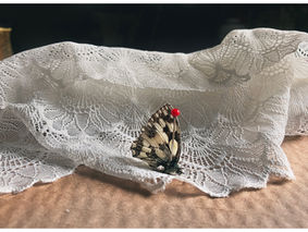 Recherche artistique et photographie /fragments d'invisibles