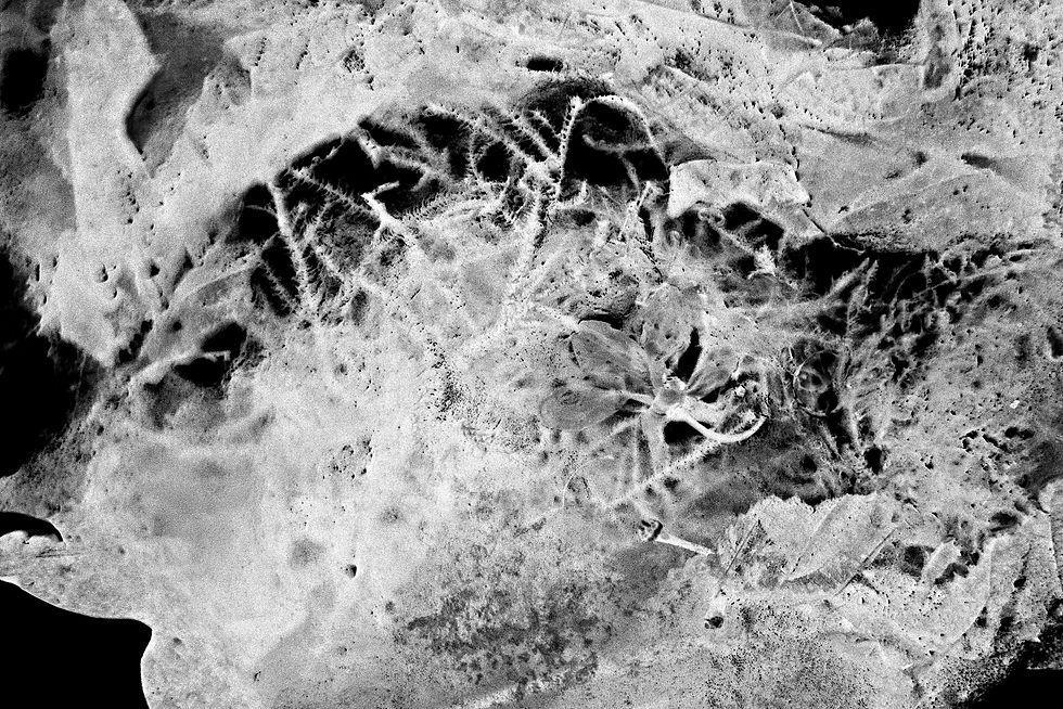 Photographie numérique (reflex + 35 mm) / inversion des valeurs (négatif numérique) / accentuation des contrastes internes.