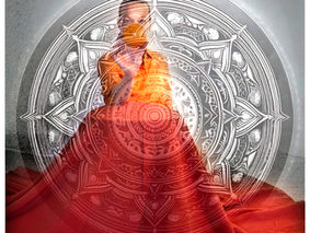 Chapitre III – L’Orange Transmise